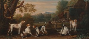 Releasing the Hounds
